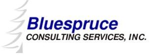 Welcome to BLUESPRUCE CONSULTING SERVICES, INC. - powered by LUCIDTRAC / OMNIV~APP Suite
